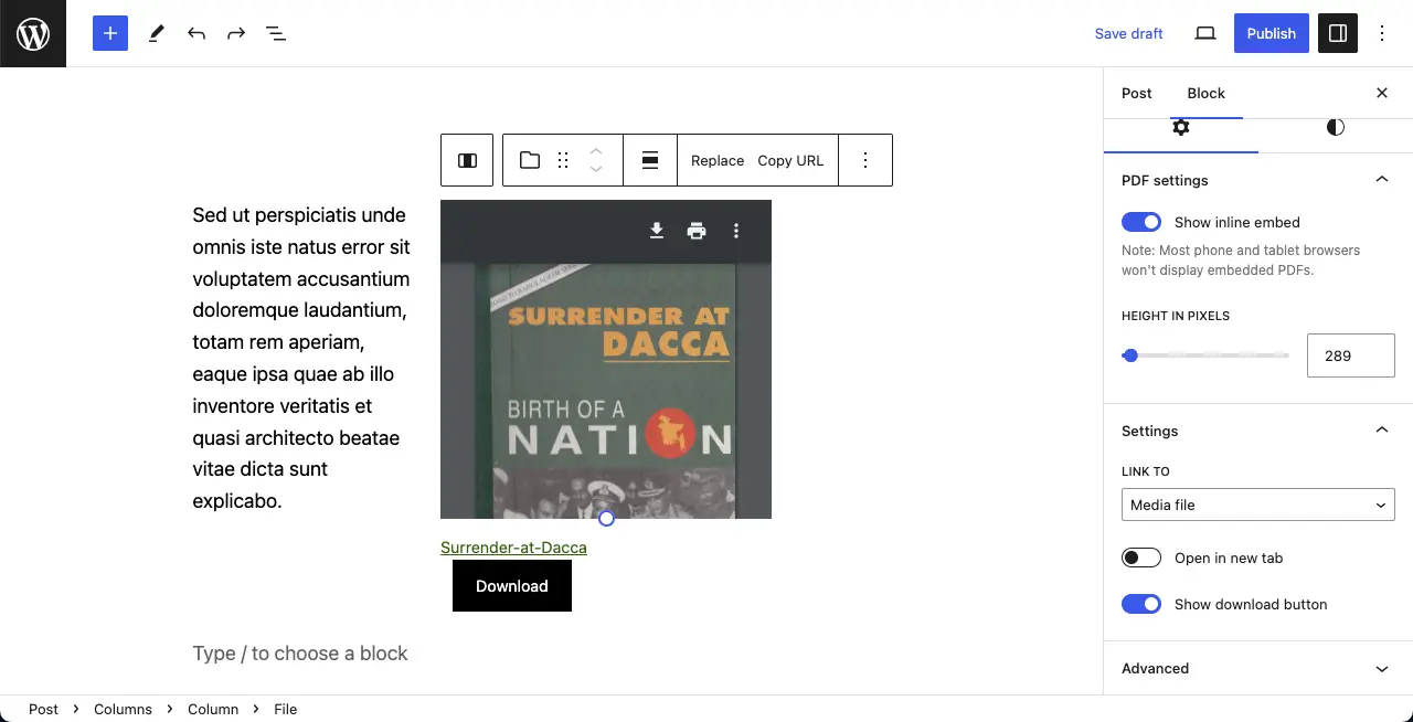 Display PDF to the column block